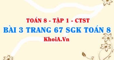 Bài 3 trang 67 SGK Toán 8 Tập 1 Chân trời sáng tạo